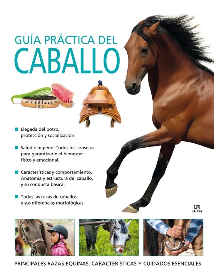 GUÍA PRÁCTICA DEL CABALLO | 9788466225748 | GORDON, MARY I D'ALTRES | Llibreria La Gralla | Llibreria online de Granollers