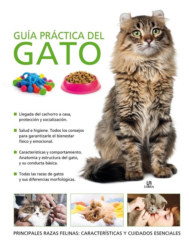 GUÍA PRÁCTICA DEL GATO | 9788466225762 | BESSANT, CLAIRE | Llibreria La Gralla | Llibreria online de Granollers