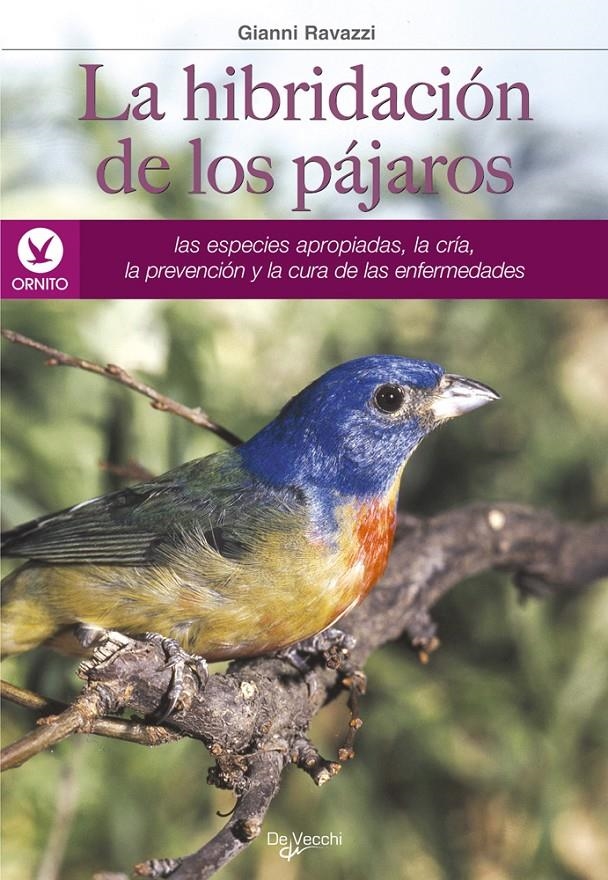 HIBRIDACION DE LOS PAJAROS, LA | 9788431520472 | RAVAZZI, GIANNI | Llibreria La Gralla | Llibreria online de Granollers