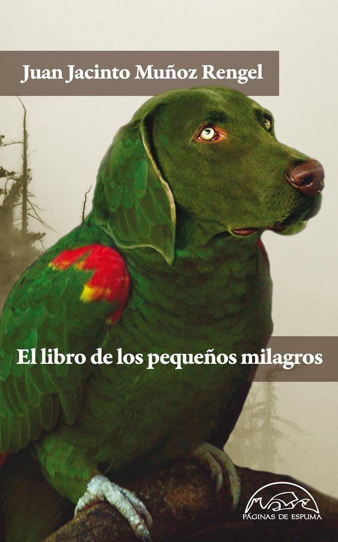 LIBRO DE LOS PEQUEÑOS MILAGROS, EL | 9788483931462 | MUÑOZ RENGEL, JUAN JACINTO | Llibreria La Gralla | Llibreria online de Granollers