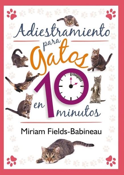 ADIESTRAMIENTO PARA GATOS EN 10 MINUTOS | 9788499102436 | FIELDS-BABINEAU, MIRIAM | Llibreria La Gralla | Llibreria online de Granollers