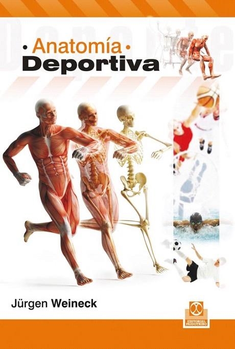 ANATOMÍA DEPORTIVA | 9788499104041 | WEINECK, JÜRGEN | Llibreria La Gralla | Llibreria online de Granollers