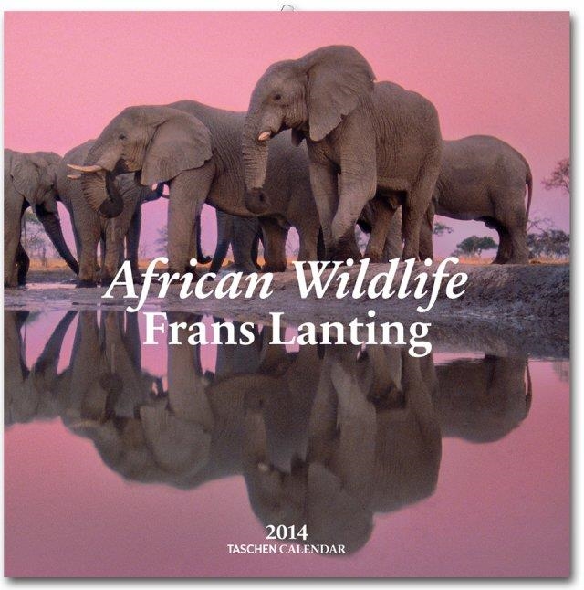 CALENDARIO 2014 AFRICAN WILDLIFE FRANS LANTING | 9783836546416 | TASCHEN | Llibreria La Gralla | Llibreria online de Granollers