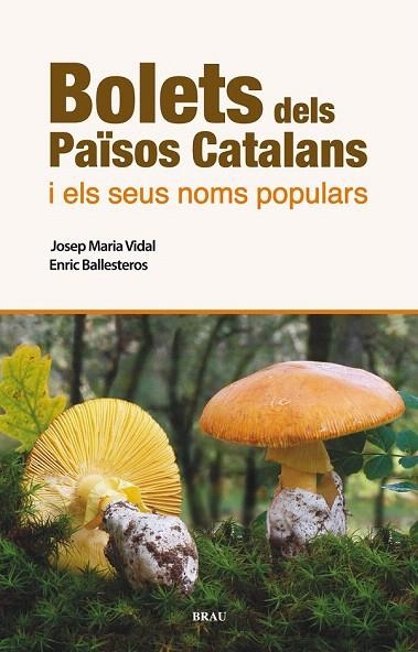 BOLETS DELS PAÏSOS CATALANS I ELS SEUS NOMS POPULARS | 9788496905986 | VIDAL FRIGOLA, JOSEP MARIA/BALLESTEROS SAGARRA, ENRIC | Llibreria La Gralla | Llibreria online de Granollers