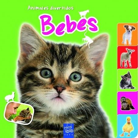 BEBÉS (ANIMALES DIVERTIDOS) | 9788408109587 | Llibreria La Gralla | Llibreria online de Granollers