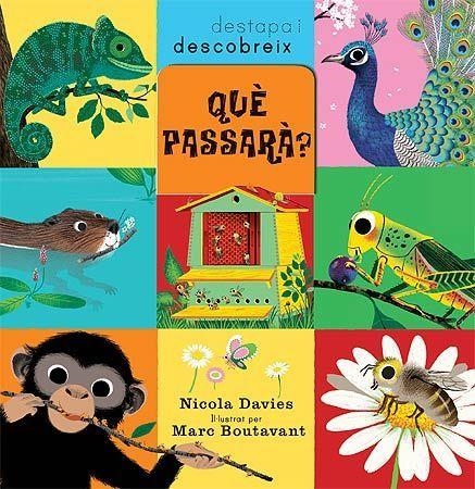 QUÈ PASSARÀ? (DESTAPA I DESCOBREIX) | 9788426139979 | DAVIES, NICOLA | Llibreria La Gralla | Llibreria online de Granollers