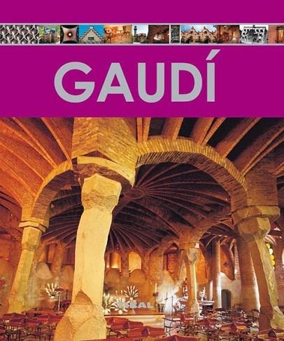 GAUDÍ | 9788499280288 | ESTÉVEZ, ALBERTO T. | Llibreria La Gralla | Librería online de Granollers