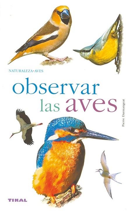 OBSERVAR LAS AVES | 9788430558186 | DARMANGEAT, PIERRE | Llibreria La Gralla | Llibreria online de Granollers