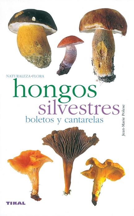 HONGOS SILVESTRES. BOLETOS Y CANTARELAS | 9788430553365 | POLESE, JEAN MARIE | Llibreria La Gralla | Llibreria online de Granollers