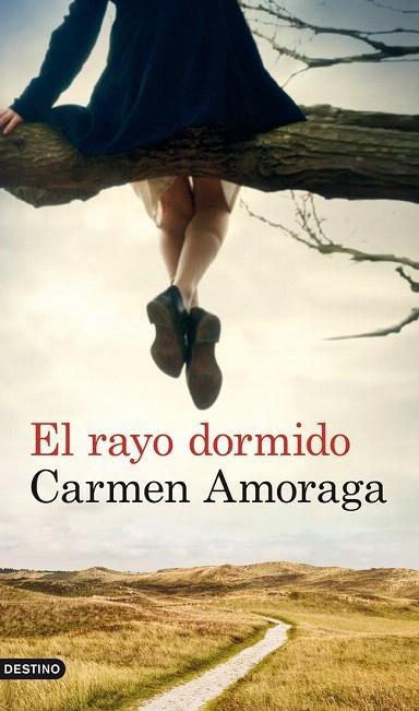 RAYO DORMIDO, EL | 9788423327133 | AMORAGA, CARMEN | Llibreria La Gralla | Llibreria online de Granollers