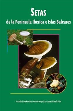 SETAS DE LA PENINSULA IBERICA E ISLAS BALEARES | 9788496423381 | ESTEVE RAVENTOS, FERNANDO | Llibreria La Gralla | Llibreria online de Granollers