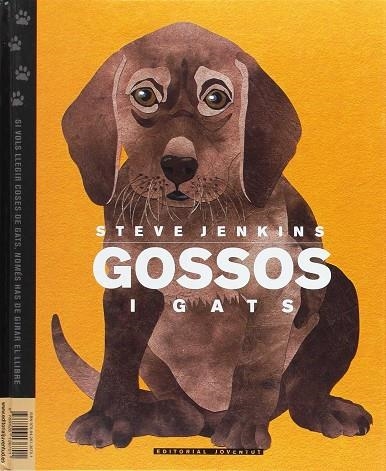 GOSSOS I GATS | 9788426136701 | JENKINS, STEVE | Llibreria La Gralla | Llibreria online de Granollers