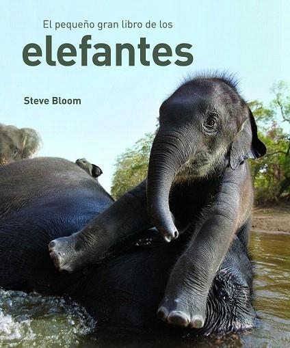 PEQUEÑO GRAN LIBRO DE LOS ELEFANTES, EL | 9788497543057 | BLOOM, STEVE | Llibreria La Gralla | Llibreria online de Granollers