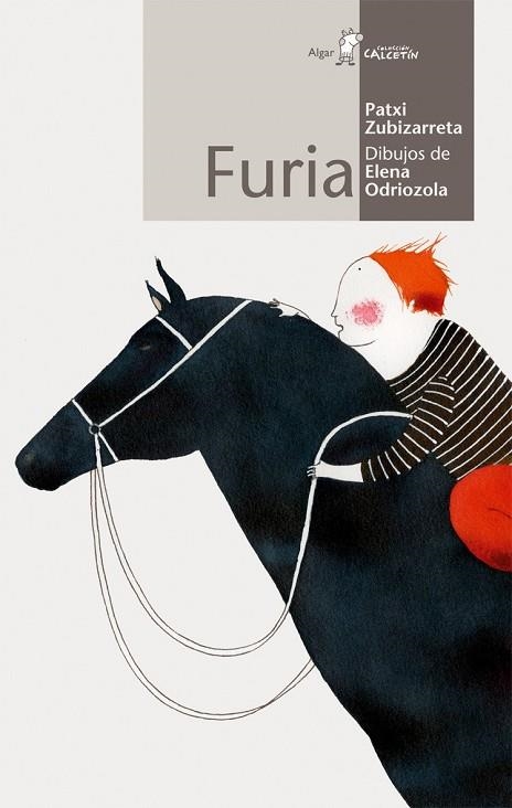 FURIA (COL.CALCETIN, 26) | 9788498450279 | ZUBIZARRETA, PATXI | Llibreria La Gralla | Llibreria online de Granollers