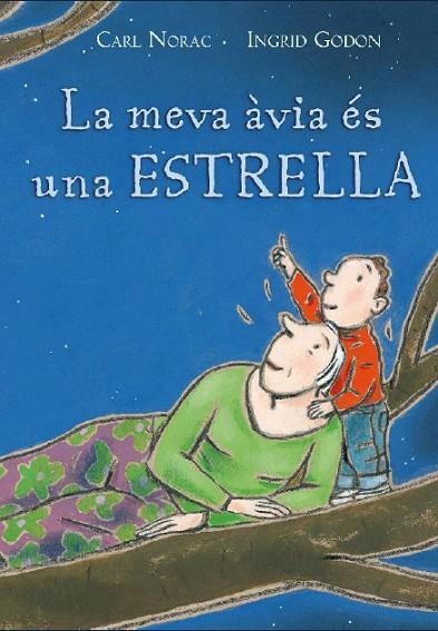 MEVA AVIA ES UNA ESTRELLA, LA | 9788495987563 | NORAC, CARL; GODON, INGRID | Llibreria La Gralla | Llibreria online de Granollers