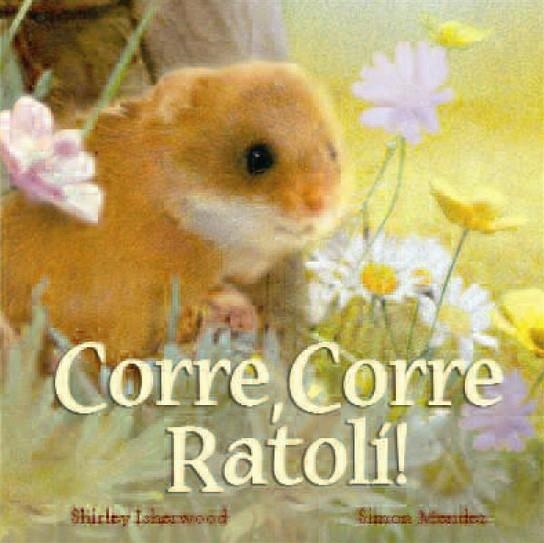 CORRE CORRE RATOLI! | 9788489825475 | ISHERWOOD, SHIRLEY | Llibreria La Gralla | Llibreria online de Granollers