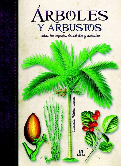 ARBOLES Y ARBUSTOS. TODAS LAS ESPECIES DE ARBOLES Y ARBUSTOS | 9788466224536 | PÉRSICO LAMAS, LUCRECIA | Llibreria La Gralla | Librería online de Granollers