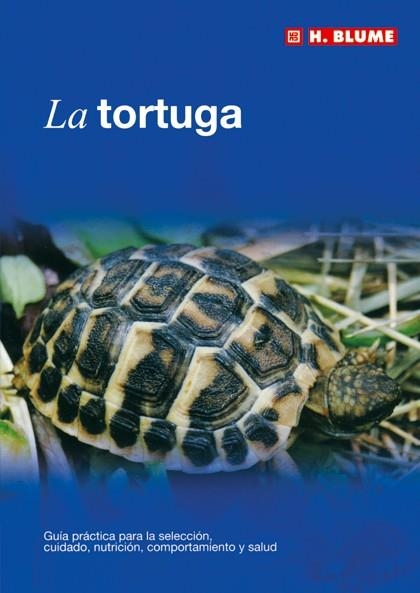 TORTUGA, LA | 9788489840881 | Llibreria La Gralla | Llibreria online de Granollers