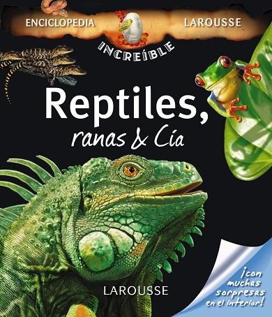 REPTILES RANAS & CÍA | 9788480166980 | VV. AA | Llibreria La Gralla | Llibreria online de Granollers