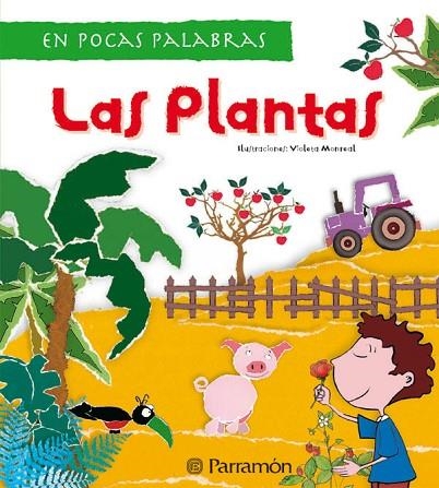 PLANTAS, LAS (EN POCAS PALABRAS) | 9788434229594 | MONREAL, VIOLETA (IL) | Llibreria La Gralla | Llibreria online de Granollers