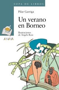 VERANO EN BORNEO, UN (SOPA DE LIBROS, 133) | 9788466784283 | GARRIGA ANGUERA, PILAR | Llibreria La Gralla | Librería online de Granollers