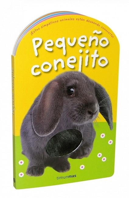 PEQUEÑO CONEJITO | 9788408084907 | PRIDDY BOOKS | Llibreria La Gralla | Llibreria online de Granollers