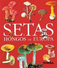 SETAS Y HONGOS DE EUROPA | 9788499280127 | VARIOS AUTORES | Llibreria La Gralla | Llibreria online de Granollers