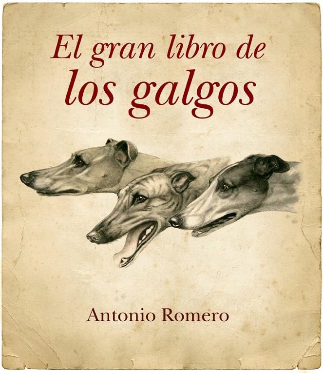 GRAN LIBRO DE LOS GALGOS, EL | 9788492924080 | ROMERO, ANTONIO | Llibreria La Gralla | Llibreria online de Granollers