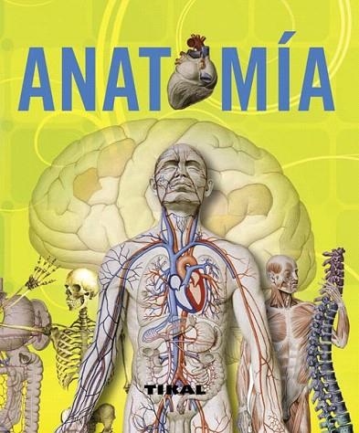 ANATOMIA | 9788499280011 | RIGUTTI, ADRIANA | Llibreria La Gralla | Llibreria online de Granollers