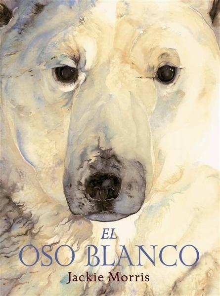 OSO BLANCO, EL | 9788489825741 | MORRIS, JACKIE | Llibreria La Gralla | Llibreria online de Granollers