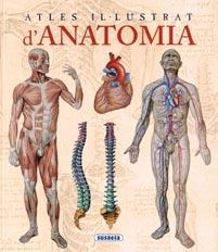 ATLES IL·LUSTRAT D'ANATOMIA | 9788467702101 | RIGUTTI, ADRIANA | Llibreria La Gralla | Llibreria online de Granollers