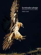 MIRADA SALVAJE, LA | 9788498012286 | CANELA, ANDONI | Llibreria La Gralla | Llibreria online de Granollers