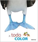 A TODO COLOR | 9786074003741 | VARIOS AUTORES | Llibreria La Gralla | Llibreria online de Granollers