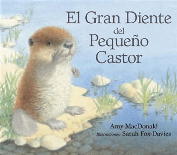 GRAN DIENTE DEL PEQUEÑO CASTOR, EL | 9788493933951 | MC DONALD, AMI; FOX DAVIES, SARAH | Llibreria La Gralla | Llibreria online de Granollers