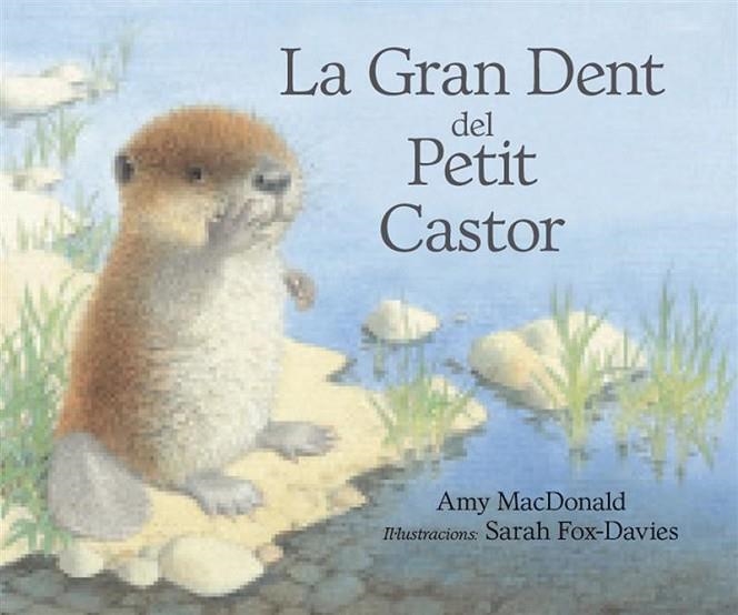 GRAN DENT DEL PETIT CASTOR, LA | 9788493933944 | MC DONALD, AMI; FOX DAVIES, SARAH | Llibreria La Gralla | Librería online de Granollers