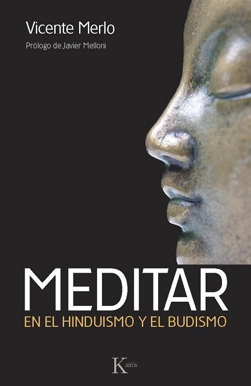 MEDITAR | 9788499883113 | MERLO, VICENTE | Llibreria La Gralla | Librería online de Granollers