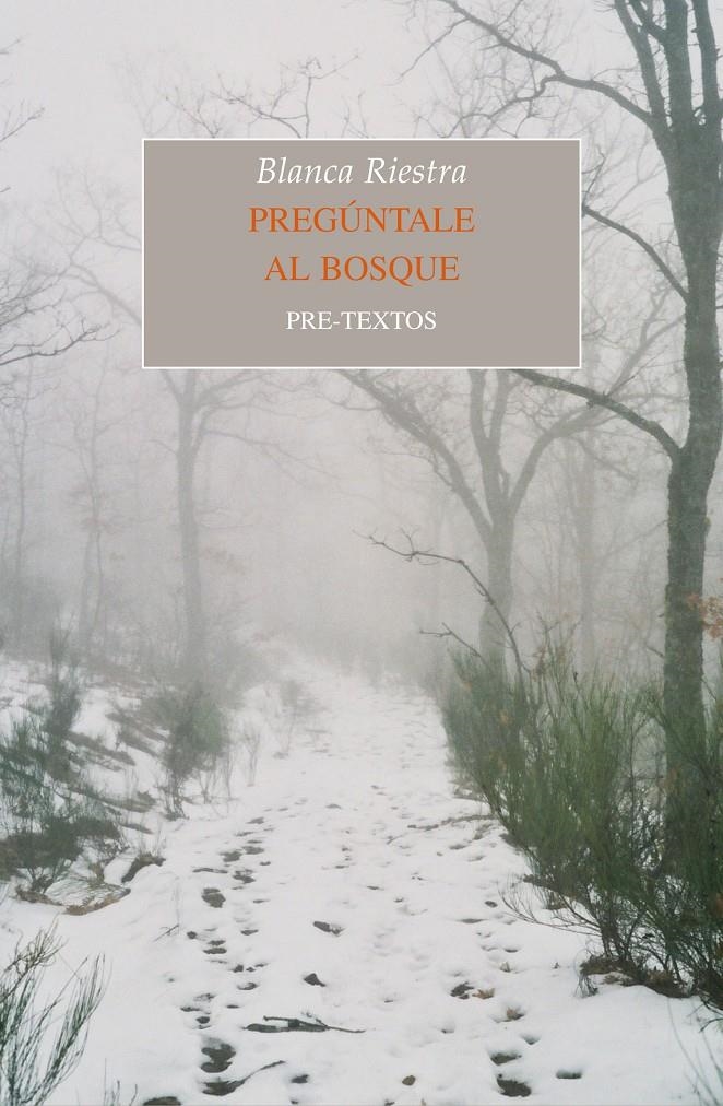 PREGÚNTALE AL BOSQUE | 9788415576877 | RIESTRA, BLANCA | Llibreria La Gralla | Librería online de Granollers