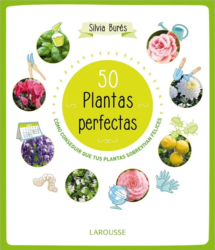 50 PLANTAS PERFECTAS | 9788415785897 | BURÉS, SILVIA | Llibreria La Gralla | Llibreria online de Granollers