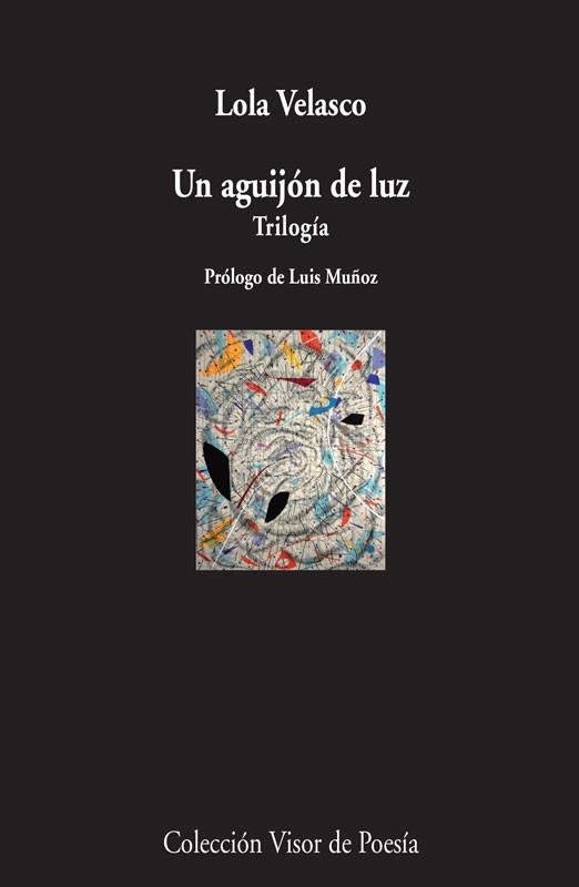 AGUIJÓN DE LUZ, UN | 9788498958614 | VELASCO, LOLA | Llibreria La Gralla | Llibreria online de Granollers