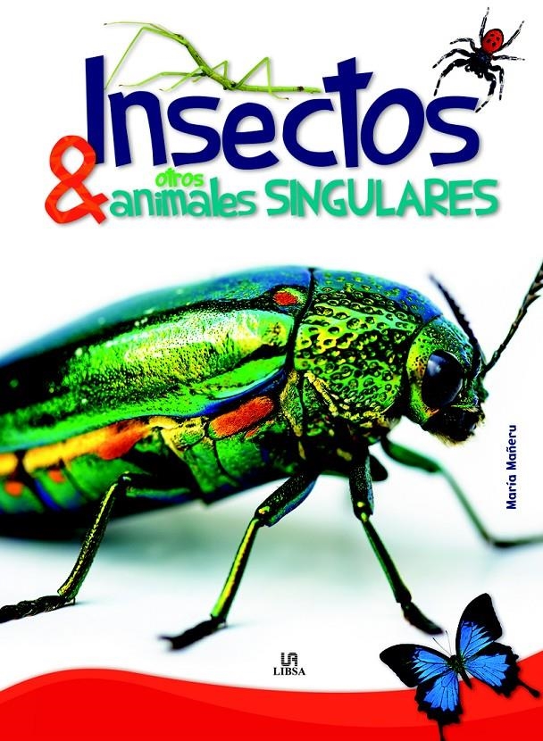 INSECTOS Y OTROS ANIMALES SINGULARES | 9788466227186 | MAÑERU, MARÍA | Llibreria La Gralla | Llibreria online de Granollers