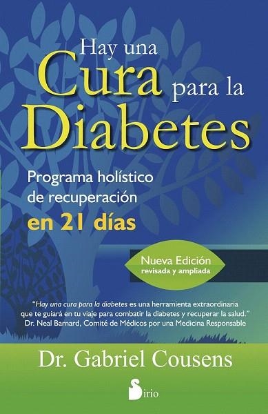 HAY UNA CURA PARA LA DIABETES | 9788478088942 | COUSENS, GABRIEL | Llibreria La Gralla | Llibreria online de Granollers