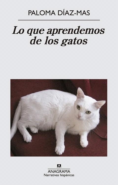 LO QUE APRENDEMOS DE LOS GATOS | 9788433997807 | DÍAZ MAS, PALOMA | Llibreria La Gralla | Llibreria online de Granollers