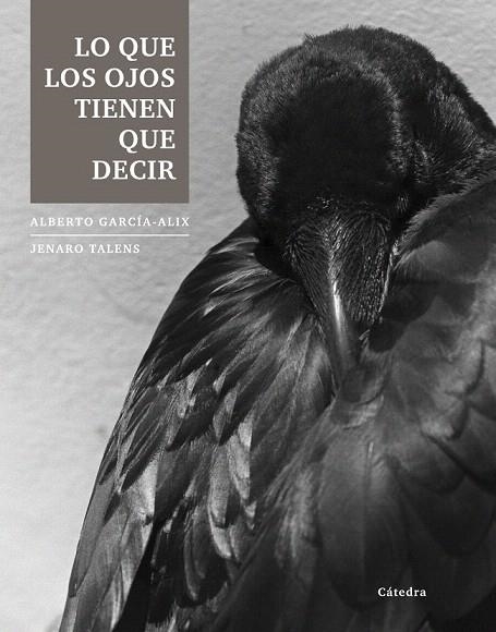 LO QUE LOS OJOS TIENEN QUE DECIR | 9788437633251 | GARCÍA-ALIX, ALBERTO/TALENS, JENARO | Llibreria La Gralla | Llibreria online de Granollers