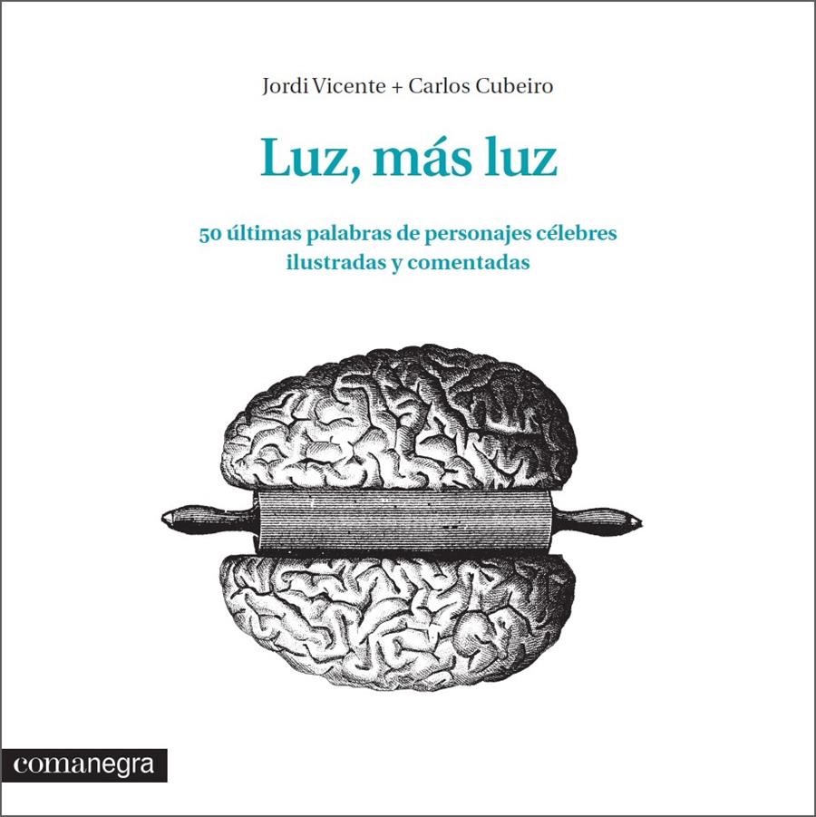 LUZ, MÁS LUZ | 9788416033348 | VICENTE RÓDENAS, JORDI/DÍAZ CUBEIRO, CARLOS | Llibreria La Gralla | Llibreria online de Granollers