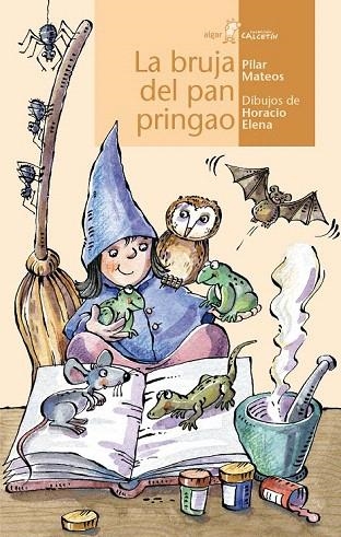 BRUJA DEL PAN PRINGAO, LA | 9788498456462 | MATEOS, PILAR | Llibreria La Gralla | Librería online de Granollers