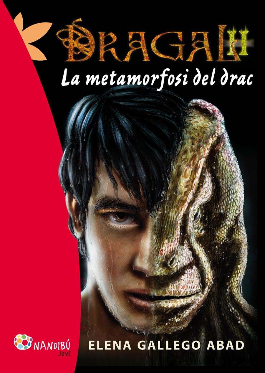 DRAGAL 2: LA METAMORFOSI DEL DRAC | 9788499755731 | GALLEGO ABAD, ELENA | Llibreria La Gralla | Llibreria online de Granollers