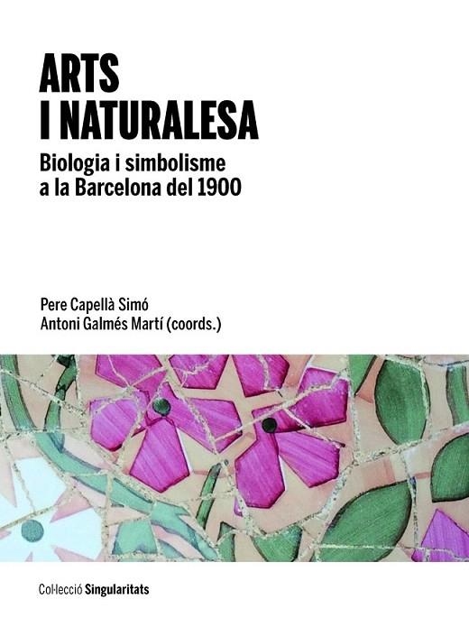 ARTS I NATURALESA | 9788447538751 | CAPELLA SIMÓ, PERE / GALMÉS MARTÍ, ANTONI (COORD.) | Llibreria La Gralla | Llibreria online de Granollers