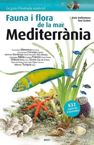 FAUNA I FLORA DE LA MAR MEDITERRÀNIA | 9788415885252 | BALLESTEROS SAGARRA, ENRIC | Llibreria La Gralla | Llibreria online de Granollers