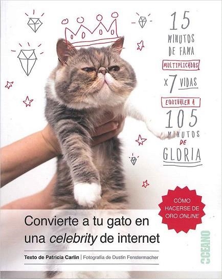 CONVIERTE A TU GATO EN UNA CELEBRITY DE INTERNET | 9788475568843 | CARLIN, PATRICIA | Llibreria La Gralla | Llibreria online de Granollers