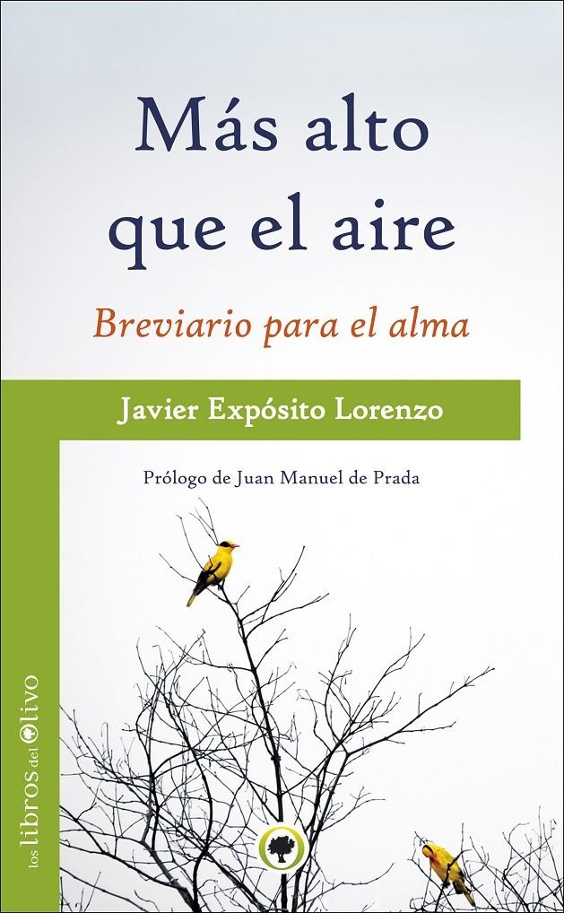 MAS ALTO QUE EL AIRE | 9788494170423 | EXPOSITO, JAVIER | Llibreria La Gralla | Librería online de Granollers